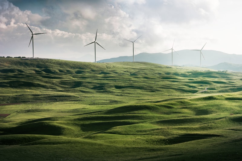 How the Netherlands is expanding its solar energy