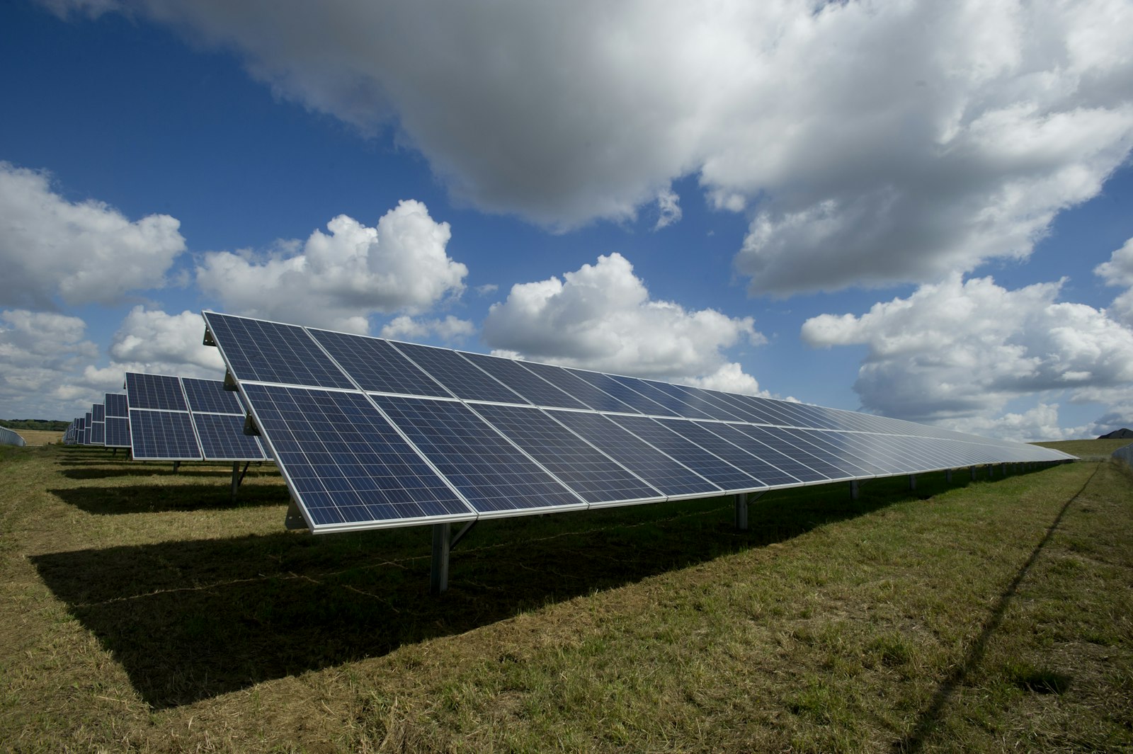 The sun of the Netherlands lights the future