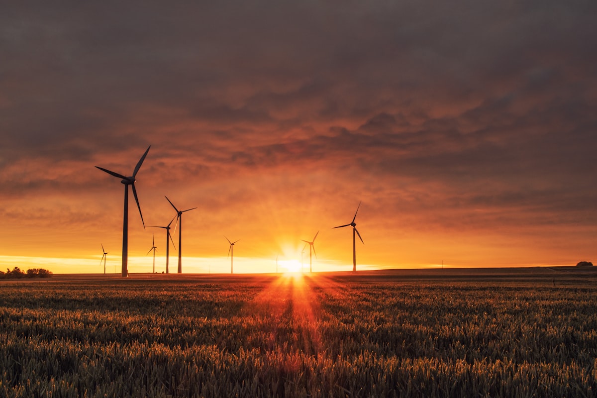The role of the Netherlands in the green energy transition